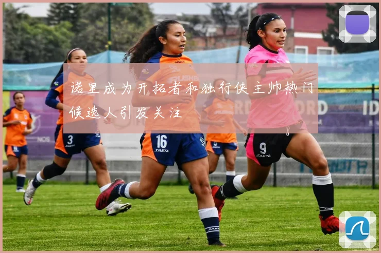 诺里成为开拓者和独行侠主帅热门候选人引发关注
